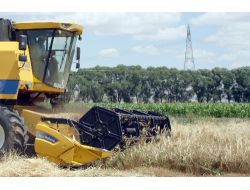 Elbistan Ovası'nda Sulu Alanda Hububat Ekimi Azalıyor