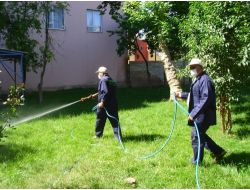 Viranşehir'de İlaçlama Çalışmaları Gece-gündüz Sürüyor
