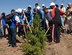 Türkçe Çocukları Sevgi Tepesi'ne Fidan Dikti