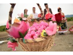 Gül Vadisi'nde Gül Festivali