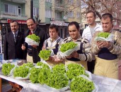 Engelli Öğrenciler Yetiştirdikleri Marulları Satarak Para Kazanıyor