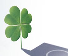 Garanti'ye boykot şoku