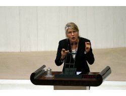 Gezi Parkı Eylemleri Tbmm'yi De Gerdi