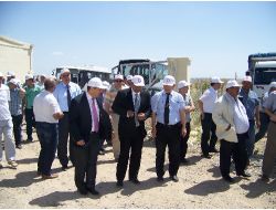 Hatay'da 5. Geleneksel Hasat Bayramı Kutlandı