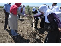 Öğrenciler, Su Arıtma Tesisini Gezdi