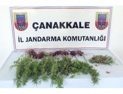 BİGA'DA UYUŞTURUCU ELE GEÇİRİLDİ