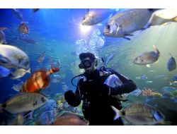 Aü'de Dalıcı Eğitimi Verilecek