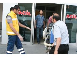 Ercişli Küçük Şüheyda'nın Organları, Nakil Bekleyenlere Umut Olacak