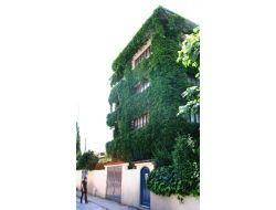 Sarmaşık Apartman, Görenleri Kendisine Hayran Bırakıyor