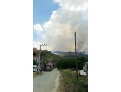 Burdur’da Orman Yangını: 12 Hektar Ormanlık Alan Zarar Gördü