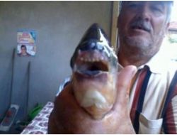 İznik Gölü'nde Pirana Balığı Yakaladı