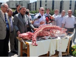 Tbmm Bahçesinde İskeletli Basın Toplantısı