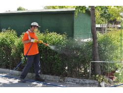 Karatay'da Yeşil Alanlar Haşerelere Karşı İlaçlandı