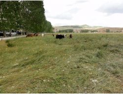 Mera Islah Projesi Köylünün Girdi Maliyetini Yüzde 30 Düşürdü