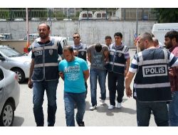 Tele Tokatçılar, Almanya'ya Sıçradı