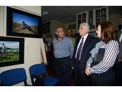Afad’ın 'Semt Pazarları’ Konulu Fotoğraf Sergisi Açıldı