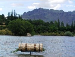 Göçmen Kuşlar Yapay Evlerle Korumaya Alındı