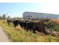 Tır Devrildi, Tavuklar Telef Oldu