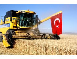 Aksaray’da 2013 Yılı Hububat Hasadı Başladı