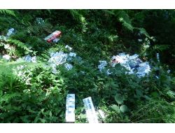 Artvin'de 3 Bin Paket Gümrük Kaçağı Sigara