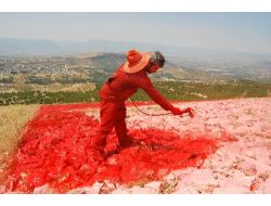 Mut'taki Türkiye'nin En Büyük Bayrağı Boyanıyor