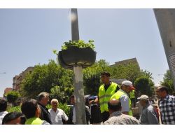 Elektrik Direkleri Çiçek Açtı