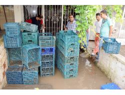 Manisa'da Şiddetli Yağmur: 150 Ev Ve İşyerini Su Bastı