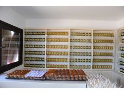 ARHAVİ'DE BAL EVİ AÇILDI