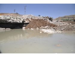 Tunceli'nde Telef Olan Balıkların Üzeri Harfiyat İle Kapatıldı