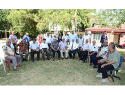 Necati Yontar Caddesi, Bulvar Oluyor