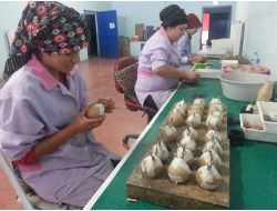 Ramazan İçin 30 Bin Adet Ses Bombası Üretilecek!