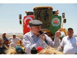 Arpa Tarlasında Hasat Bayramı Kutlaması