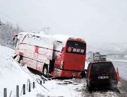 Bolu'da Otobüs Yoldan Çıktı!