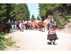 Doğu Karadeniz’de Yayla Göçleri Başladı