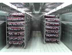 Kırmızı Et Sektörü İlk 5 Ayda Yüzde 40 Büyüdü