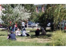 Erzurum'da Lys Maratonu Problemsiz Başladı