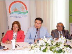 '2 Milyon Hektarlık Tarım Arazileri Bölüne Bölüne Halı Saha Kadar Kaldı'