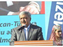 Socar Yunan Doğal Gaz Şirketi Depa'yı Alıyor