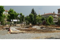 Bakırköy Belediyesi'nden Rüzgarın Devirdiği Ağaç İçin 'Biz Kesmedik' Pankartı