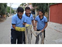 Kayıp Yüzük, Yılanın Boynunda Bulundu