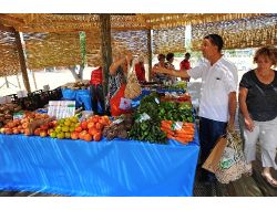 Türkiye’nin En İddialı Organik Pazarı Seferihisar'da