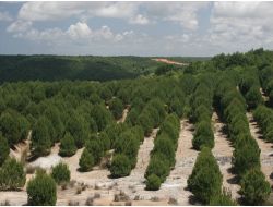 Bakan Eroğlu'dan Çölleşme Uyarısı