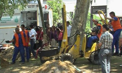 Gezi Parkı'na Yeni Ağaçlar Dikiliyor!