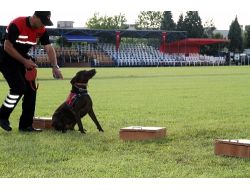 Jandarmanın, 174. Kuruluş Yıl Dönümü Kutlanıyor!