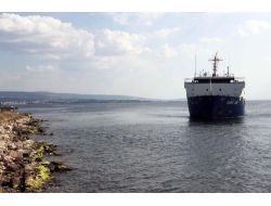 Çimento Yüklü Gemi Karaya Oturdu