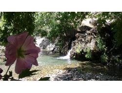 Dağlar Arasında Gizli Kalmış Doğal Güzellikler 'Çözüm Süreci' İle Ortaya Çıktı