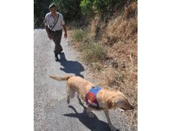 Zihinsel Engelli Adam 2 Gündür Kayıp