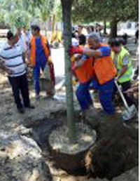 Gezi Parkı'na 100 Ağaç Dikildi