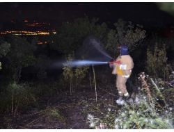 Kahramanmaraş’taki Orman Yangını Söndürüldü