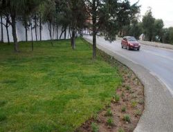 İzmir Varyant'a 3 Bin Metrekare Rulo Çim Döşendi